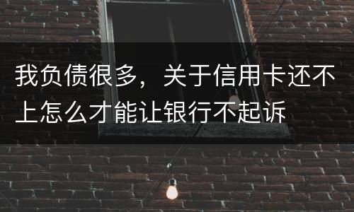 我负债很多，关于信用卡还不上怎么才能让银行不起诉