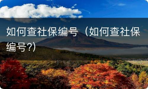 如何查社保编号（如何查社保编号?）