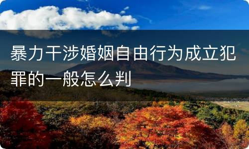 暴力干涉婚姻自由行为成立犯罪的一般怎么判