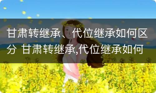 甘肃转继承、代位继承如何区分 甘肃转继承,代位继承如何区分等级
