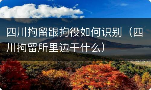 四川拘留跟拘役如何识别（四川拘留所里边干什么）