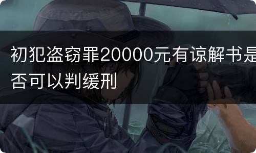 初犯盗窃罪20000元有谅解书是否可以判缓刑