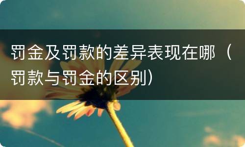 罚金及罚款的差异表现在哪（罚款与罚金的区别）