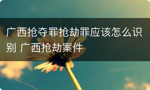 广西抢夺罪抢劫罪应该怎么识别 广西抢劫案件