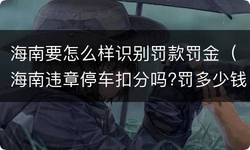 海南要怎么样识别罚款罚金（海南违章停车扣分吗?罚多少钱?）