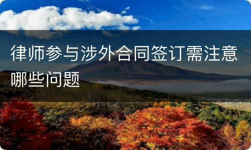 律师参与涉外合同签订需注意哪些问题