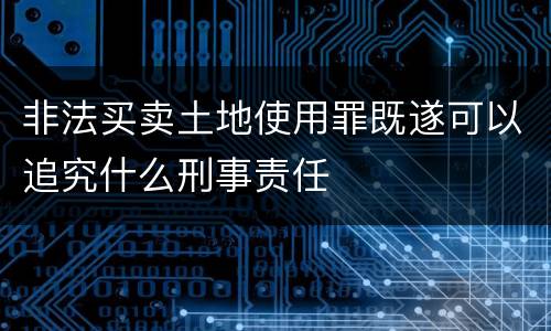 非法买卖土地使用罪既遂可以追究什么刑事责任
