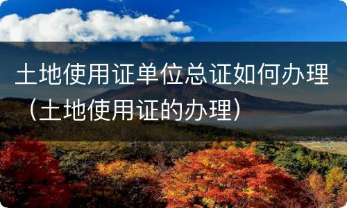 土地使用证单位总证如何办理（土地使用证的办理）