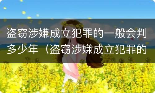 盗窃涉嫌成立犯罪的一般会判多少年（盗窃涉嫌成立犯罪的一般会判多少年呢）