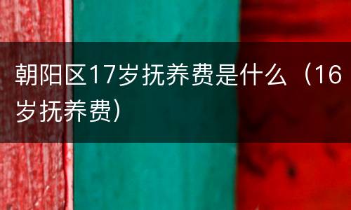 朝阳区17岁抚养费是什么（16岁抚养费）