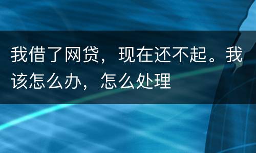 我借了网贷，现在还不起。我该怎么办，怎么处理