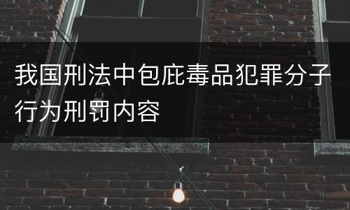 我国刑法中包庇毒品犯罪分子行为刑罚内容