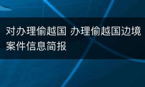 对办理偷越国 办理偷越国边境案件信息简报