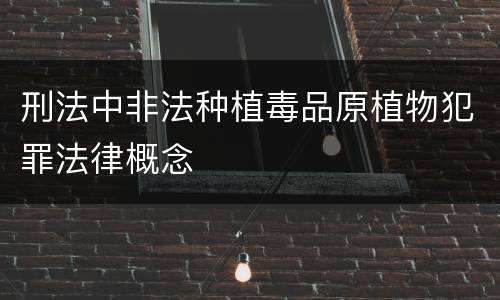 刑法中非法种植毒品原植物犯罪法律概念