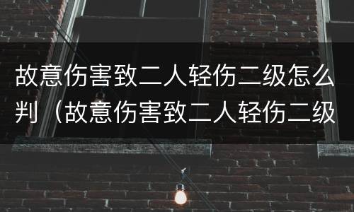 故意伤害致二人轻伤二级怎么判（故意伤害致二人轻伤二级怎么判）