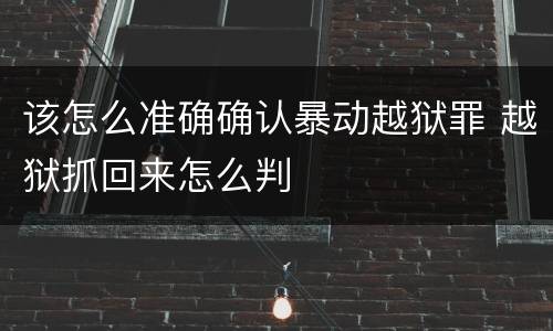 该怎么准确确认暴动越狱罪 越狱抓回来怎么判