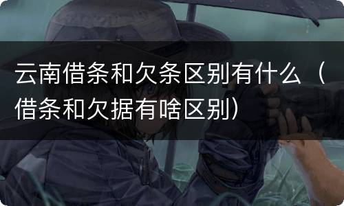 云南借条和欠条区别有什么（借条和欠据有啥区别）