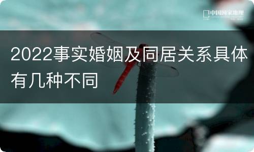 2022事实婚姻及同居关系具体有几种不同