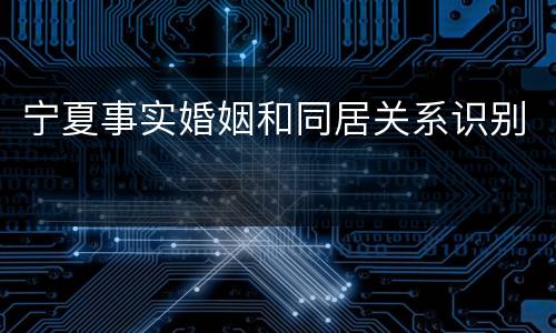宁夏事实婚姻和同居关系识别