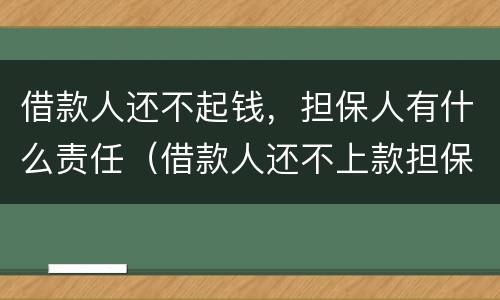 借款人还不起钱，担保人有什么责任（借款人还不上款担保人承担的责任）