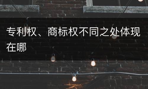 专利权、商标权不同之处体现在哪