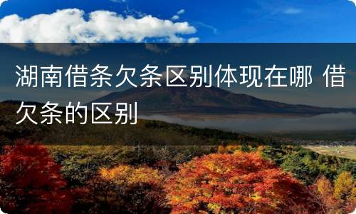 湖南借条欠条区别体现在哪 借欠条的区别