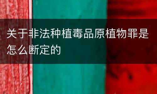 关于非法种植毒品原植物罪是怎么断定的