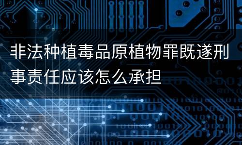 非法种植毒品原植物罪既遂刑事责任应该怎么承担