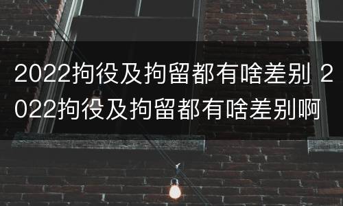 2022拘役及拘留都有啥差别 2022拘役及拘留都有啥差别啊