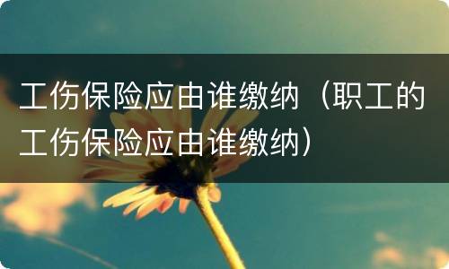 工伤保险应由谁缴纳（职工的工伤保险应由谁缴纳）