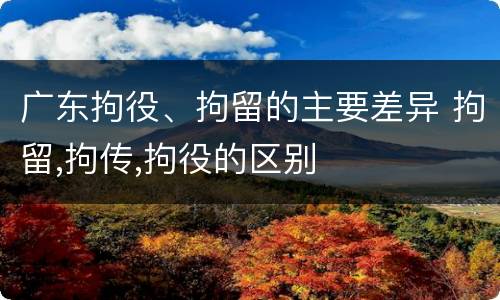广东拘役、拘留的主要差异 拘留,拘传,拘役的区别