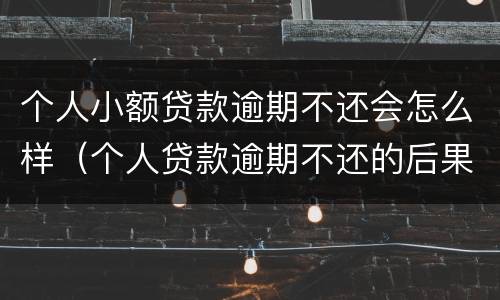 个人小额贷款逾期不还会怎么样（个人贷款逾期不还的后果）