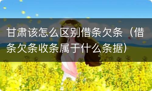 甘肃该怎么区别借条欠条（借条欠条收条属于什么条据）