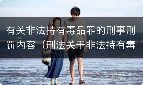 有关非法持有毒品罪的刑事刑罚内容（刑法关于非法持有毒品罪的规定）