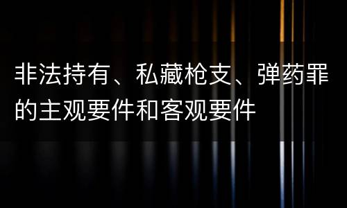 非法持有、私藏枪支、弹药罪的主观要件和客观要件
