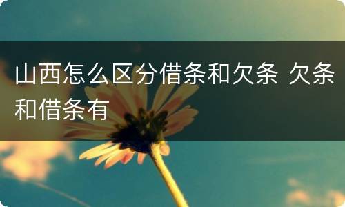 山西怎么区分借条和欠条 欠条和借条有