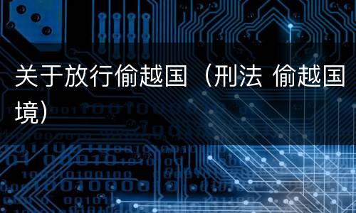 关于放行偷越国（刑法 偷越国境）