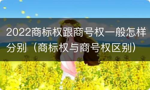 2022商标权跟商号权一般怎样分别（商标权与商号权区别）