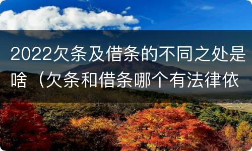 2022欠条及借条的不同之处是啥（欠条和借条哪个有法律依据）