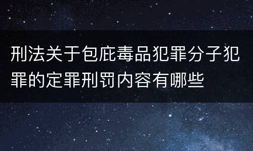 刑法关于包庇毒品犯罪分子犯罪的定罪刑罚内容有哪些