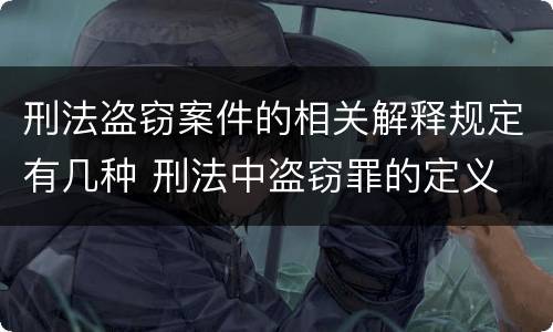 刑法盗窃案件的相关解释规定有几种 刑法中盗窃罪的定义