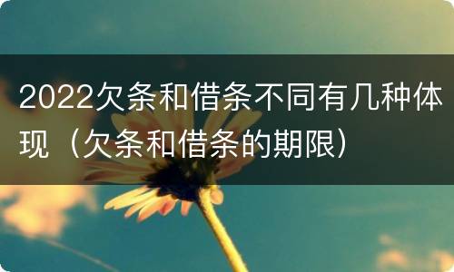 2022欠条和借条不同有几种体现（欠条和借条的期限）