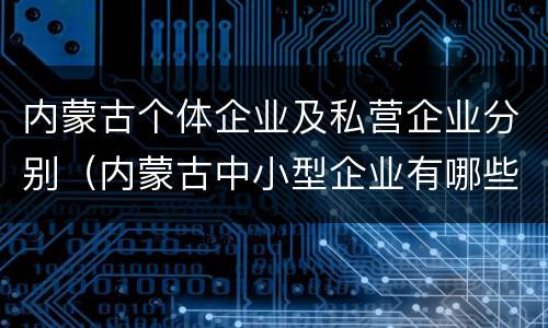 内蒙古个体企业及私营企业分别（内蒙古中小型企业有哪些）