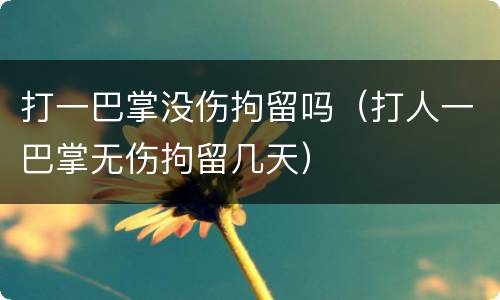 打一巴掌没伤拘留吗（打人一巴掌无伤拘留几天）