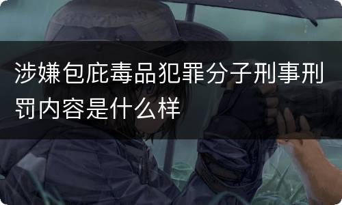 涉嫌包庇毒品犯罪分子刑事刑罚内容是什么样