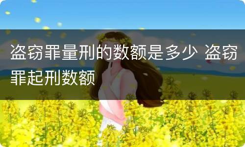 盗窃罪量刑的数额是多少 盗窃罪起刑数额