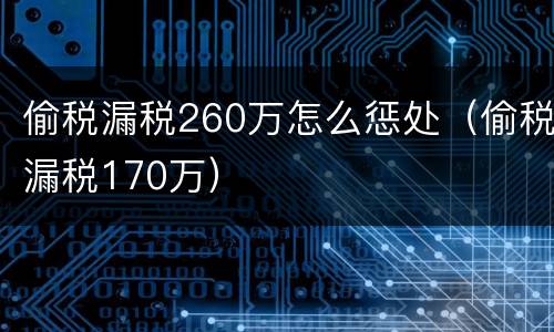 偷税漏税260万怎么惩处（偷税漏税170万）