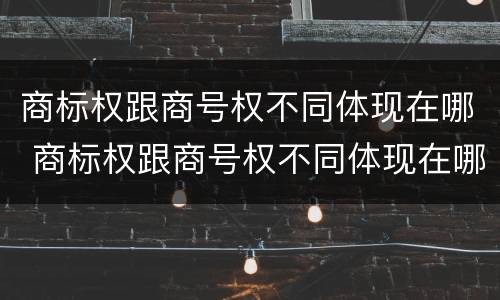 商标权跟商号权不同体现在哪 商标权跟商号权不同体现在哪些方面