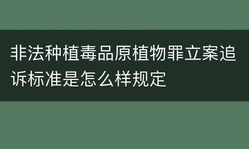非法种植毒品原植物罪立案追诉标准是怎么样规定