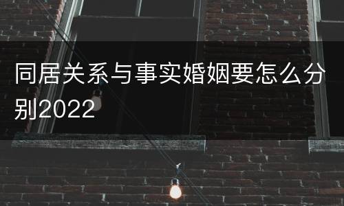 同居关系与事实婚姻要怎么分别2022